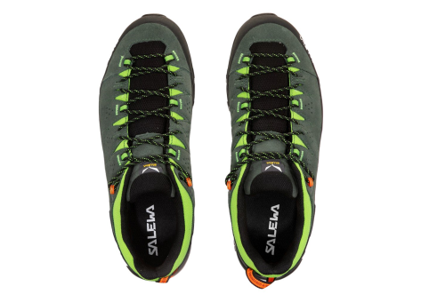 Salewa ALP TRAINER 2 (61402-5331) bunt