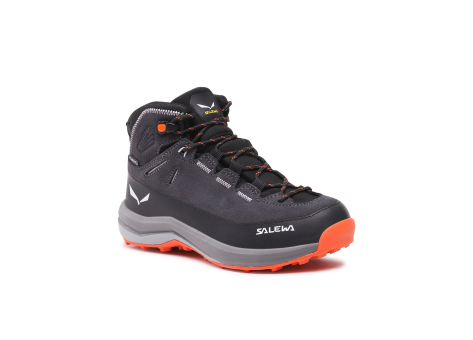 Salewa MTN Trainer 2 Mid PTX (64011-0878) grau