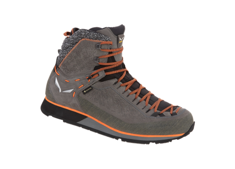 Salewa Trainer 2 Winter (61372-3845) grau