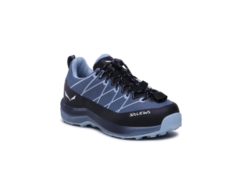 Salewa Wildfire 2 PTX (64012-8767) blau