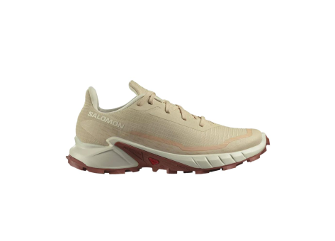 Salomon Alphacross 5 (L47460200) braun