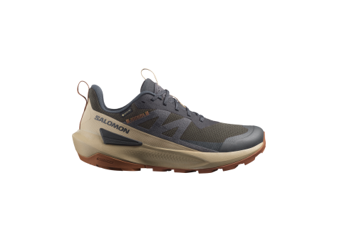 Salomon Elixir Activ Gore Tex (L47560400) grau