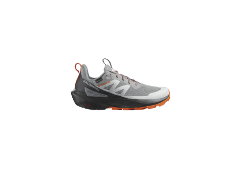 Salomon Elixir Activ GTX (L47456200) grau