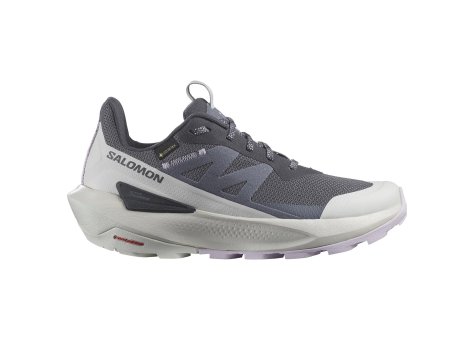 Salomon Elixir Activ GTX (L47526500) grau