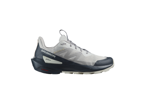 Salomon Elixir Activ (L47455400) grau