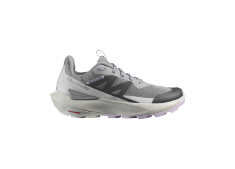 Salomon Elixir Activ (L47457500) grau