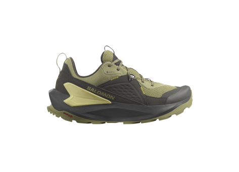 Salomon Elixir GORE TEX (L47295500) grün