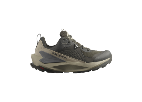 Salomon Elixir Gore Tex (L47697400) grün