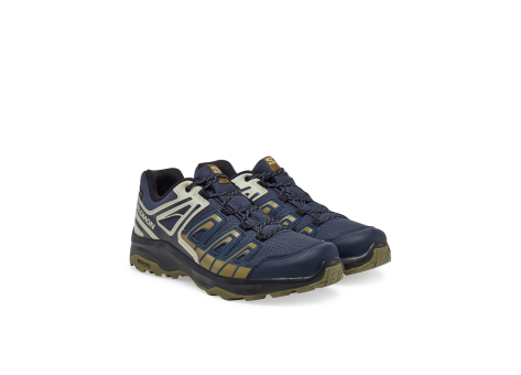 Salomon Extegra GTX (L47799800) bunt