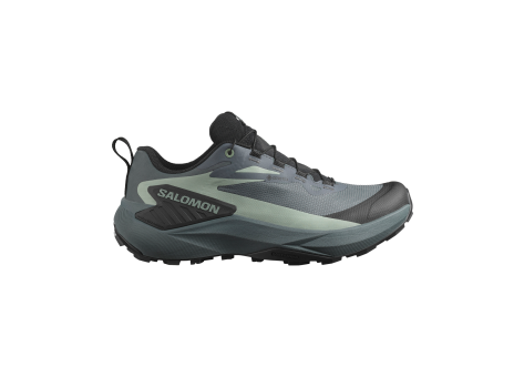 Salomon Genesis GORE TEX (L47589000) grau