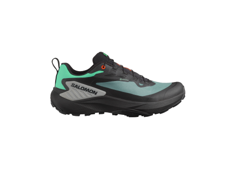 Salomon Genesis Gore Tex GTX (L47688300) schwarz