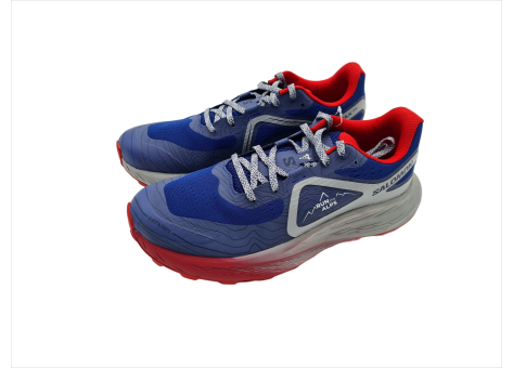 Salomon Glide Max TR Run the Alps (L47385600) bunt