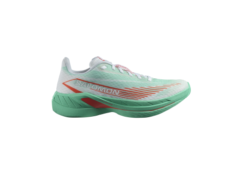 Salomon Spectur 2 (L47566800) bunt