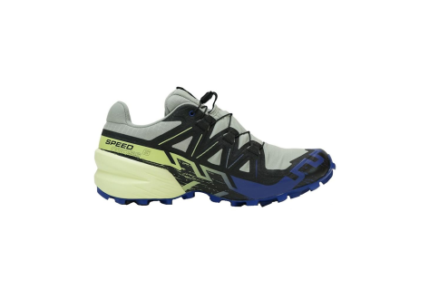 Salomon Speedcross 6 GTX (L47584000) bunt