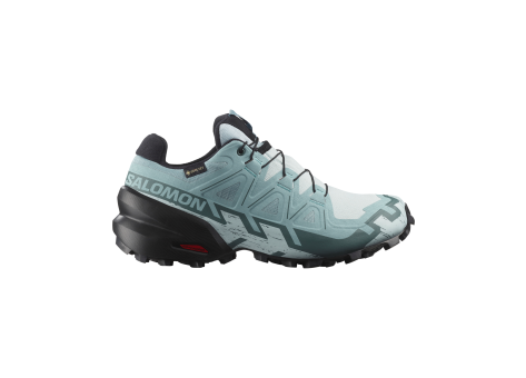 Salomon Speedcross 6 GTX TEX GORE (L47880100) bunt