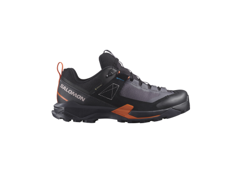 Salomon X Ultra Alpine Gore GTX Tex (L47567300) grau