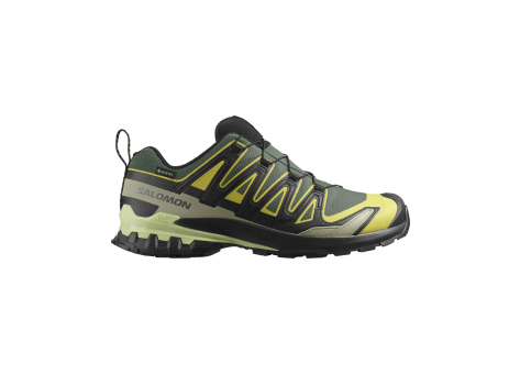 Salomon XA Pro 3D V9 GTX (L47980400) bunt