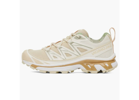 Salomon XT 6 Expanse Cottage Core (L47154800) beige