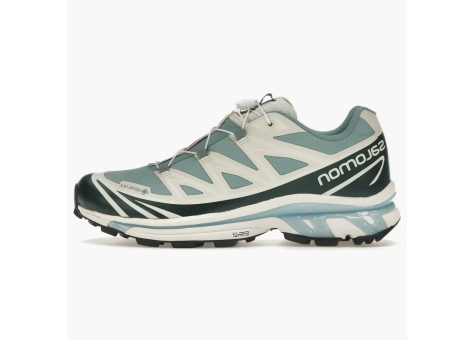 Salomon Kith XT 6 Gore Tex Ponderosa Pine (L47206800) bunt