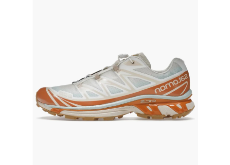 Salomon XT 6 Skyline Sun Baked (L41629800) bunt