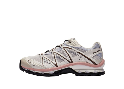 Salomon XT Quest (417589) beige