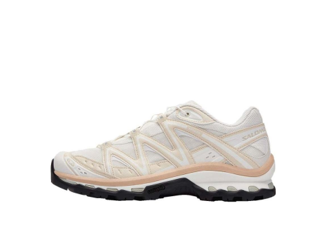Salomon XT Questseries (473359) beige