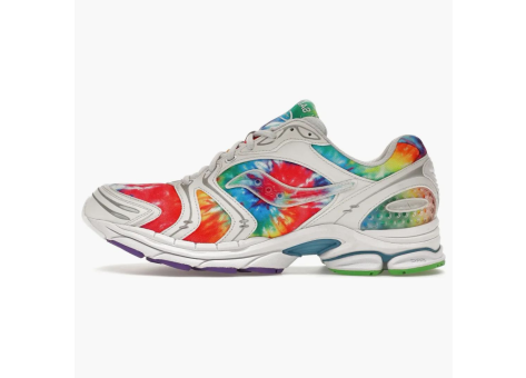 Saucony ProGrid Triumph 4 Tie dye (S70738-1) bunt