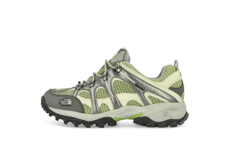 The North Face Hedgehog 06 Gore Tex (NF0A8ADX74L) bunt