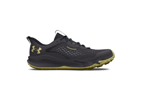 Under Armour Charged Maven Trail (3026136-100) grau