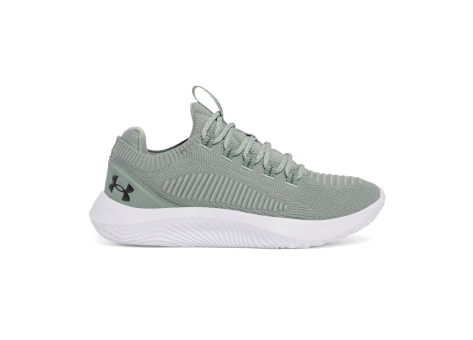 Under Armour Dynamic 2 (3028076-348) grau