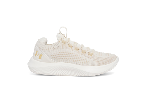 Under Armour Dynamic 2 (3028077-279) braun