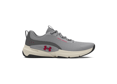 Under Armour Dynamic Select (3026608-102) grau