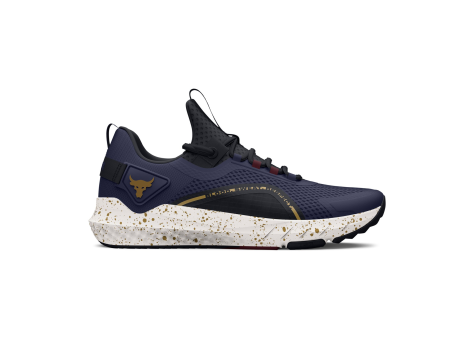 Under Armour Project Rock BSR 3 (3026462-402) blau