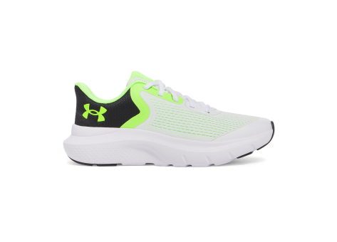 Under Armour Rogue 5 (3028269-100) bunt