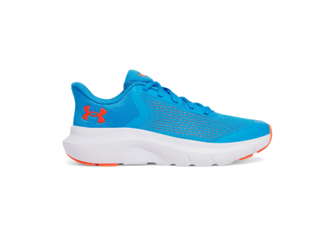 Under Armour Rogue 5 (3028269-428) blau