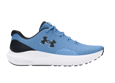 Under Armour Under Armour Usynlige Sokker Dry™ Run Unisexes (3027007-401) blau