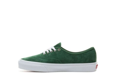 Vans Authentic Suede (VN0A2Z5IV76) grün