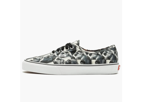 Vans Authentic Supreme Bruce Lee (VN0000ANM) bunt