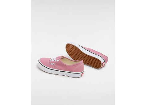 Authentic rose vans online