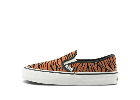 Vans Slip on Sf (VN0A5HYQ9ZY) bunt