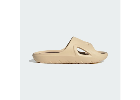 adidas Adicane Slide (HP9415) beige