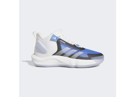 adidas Adizero Select (IE9266) bunt
