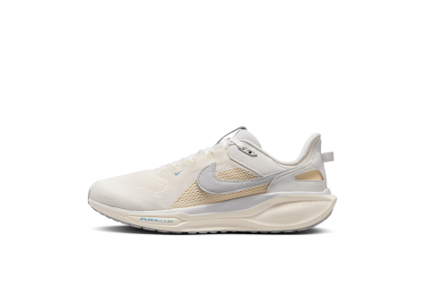 Nike Air Zoom Pegasus 41 Ivory & Coconut Milk (HQ6025-100) weiss