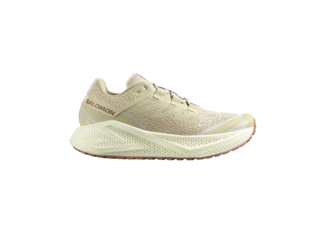 Salomon Aero Glide 3 GRVL (L47797300) beige