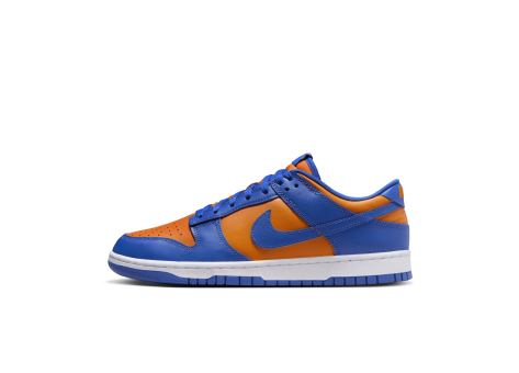 Nike Dunk Low Retro (DV0833 800) blau