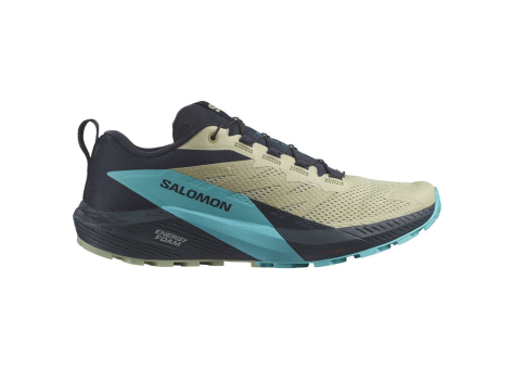 Salomon Sense Ride 5 (L47458500) braun