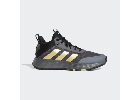 adidas Ownthegame 2.0 (GW5483) grau