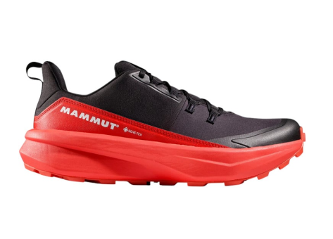 Mammut Aenergy Hike Low GTX (3030-05230-00) bunt