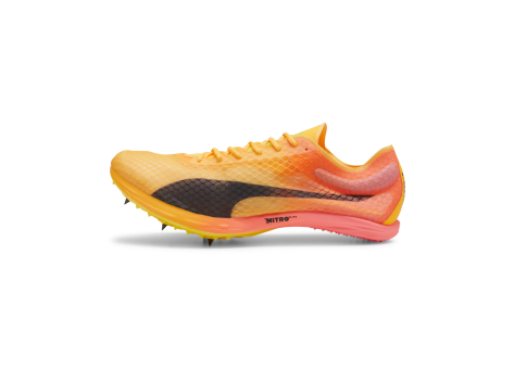 PUMA evoSPEED Distance Nitro Elite 4 (380000-01) bunt