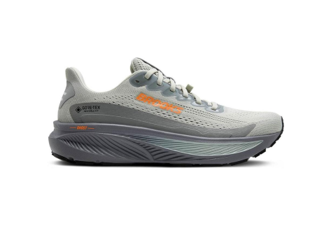 Brooks Ghost 17 GTX (110462-1D-022) grau